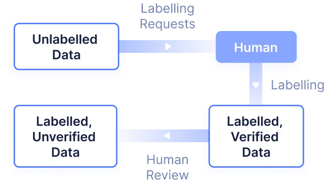 AI ML Medical Data Review Algorithm Review